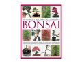 Add Years To Your Bonsai Tree